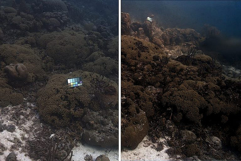 SeaSplat от MIT восстанавливает цвета подводных снимков, устраняя искажения воды. Технология создает 3D-модели для мониторинга рифов и археологии.